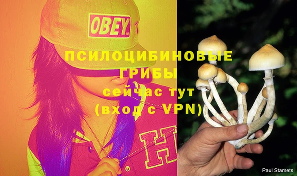 кокаин премиум Армянск