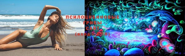 каннабис Арсеньев
