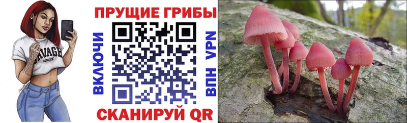 Псилоцибиновые грибы мицелий  МЕГА маркетплейс  Спас-Клепики 