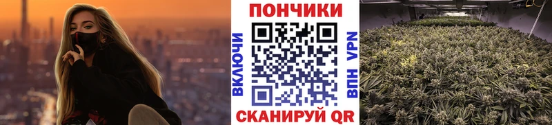 Канабис THC 21%  Спас-Клепики 